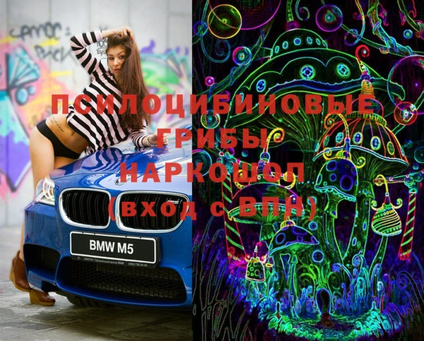 mix Богородицк