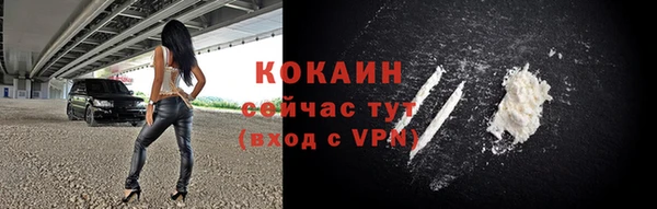 стафф Богданович