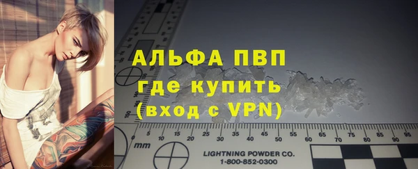 стафф Богданович