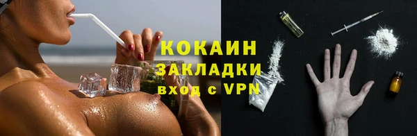 mix Богородицк