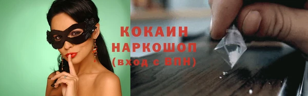 стафф Богданович