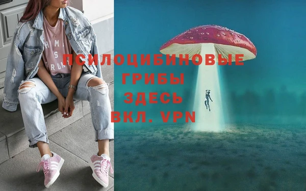 стафф Богданович