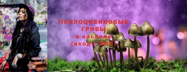 стафф Богданович