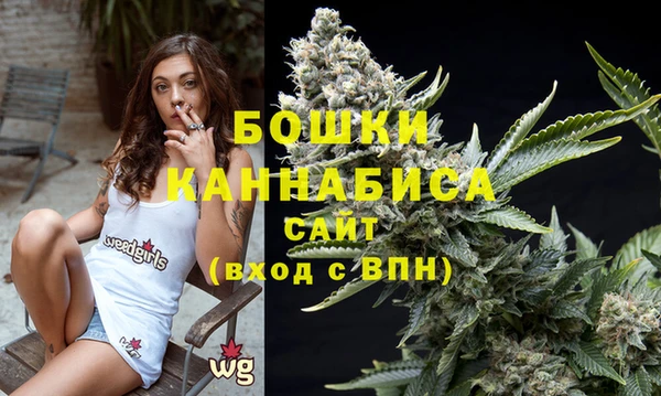 mix Богородицк
