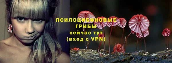 mix Богородицк